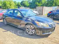 2012 Honda Accord фото