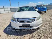 2012 Honda Accord photo