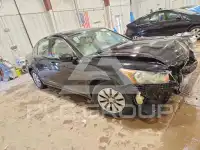 2012 Honda Accord фото