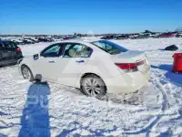 2012 Honda Accord photo