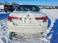 2012 Honda Accord photo