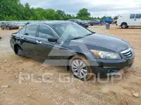 2012 Honda Accord фото