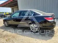 2012 Honda Accord photo