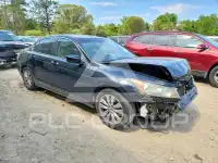 2012 Honda Accord photo