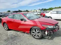 2012 Honda Accord photo
