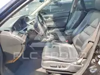 2012 Honda Accord photo