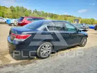 2012 Honda Accord photo