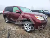 2012 Lexus GX фото