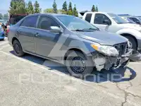 2012 Toyota COROLLA фото