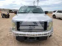 2012 Ford F-150 photo