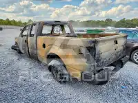 2012 Ford F-150 photo