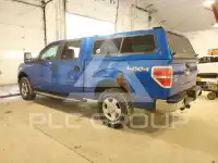 2012 Ford F-150 photo