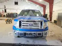 2012 Ford F-150 photo