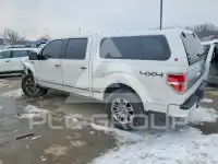 2012 Ford F-150 фото
