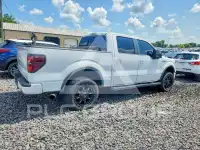 2012 Ford F-150 photo