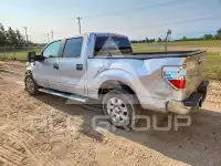 2012 Ford F-150 photo