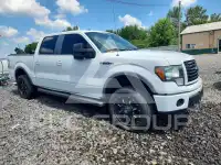 2012 Ford F-150 photo