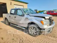 2012 Ford F-150 photo