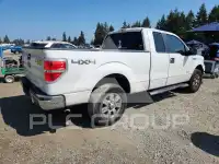2012 Ford F-150 photo