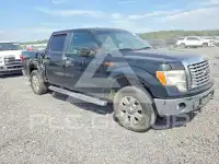 2012 Ford F-150 photo