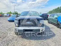2012 Ford F-150 photo