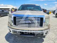 2012 Ford F-150 photo