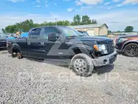 2012 Ford F-150 photo