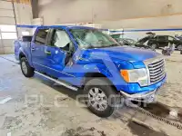 2012 Ford F-150 photo