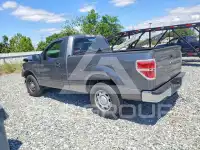 2012 Ford F-150 photo