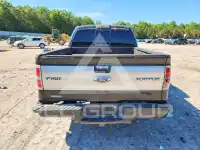2012 Ford F-150 photo