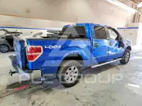 2012 Ford F-150 photo