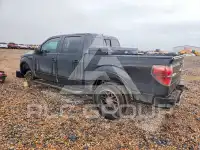 2012 Ford F-150 photo