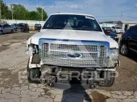 2012 Ford F-150 photo