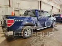 2012 Ford F-150 photo
