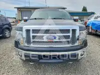 2012 Ford F-150 фото