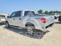 2012 Ford F-150 photo