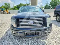 2012 Ford F-150 photo