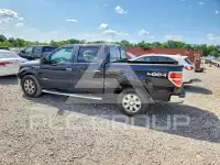 2012 Ford F-150 фото