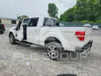 2012 Ford F-150 photo