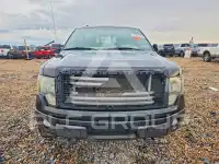 2012 Ford F-150 photo