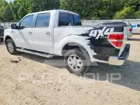 2012 Ford F-150 photo