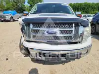 2012 Ford F-150 photo
