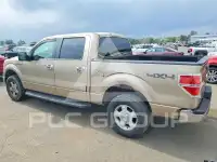 2012 Ford F-150 photo