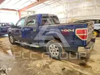 2012 Ford F-150 photo