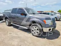 2012 Ford F-150 photo
