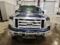 2012 Ford F-150 фото