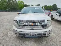 2012 Ford F-150 photo