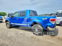 2012 Ford F-150 photo