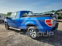 2012 Ford F-150 photo