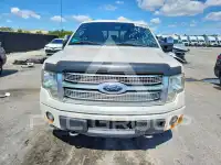 2012 Ford F-150 photo